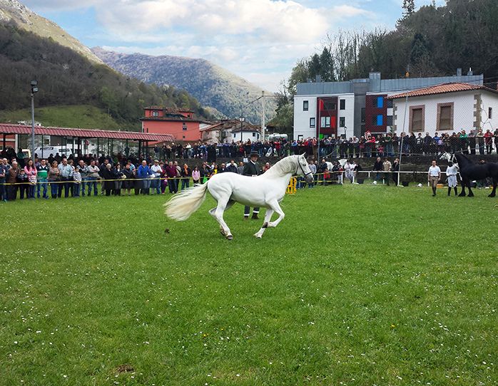 Feria del Caballo en Belmonte de Miranda