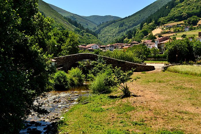 Tuña en Tineo