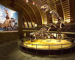 Jurassic Museum of Asturias