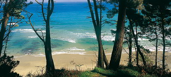 Spiaggia di Oleiros (Cudillero)