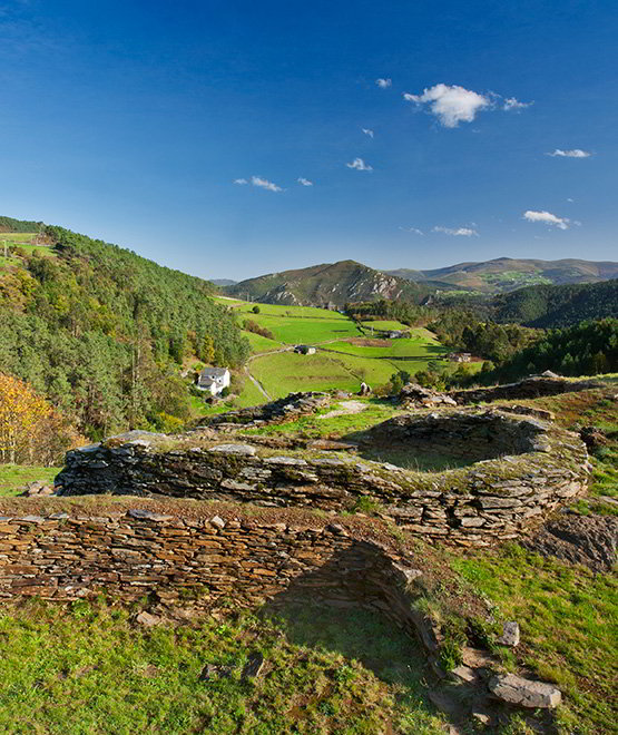 Castro de Pendia (Boal)