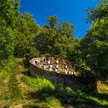 The spell of the cuerrias, corros and cortinos