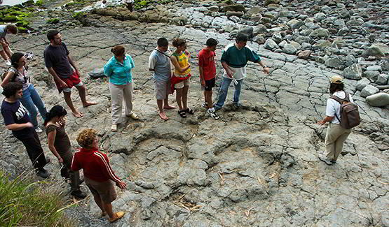 Huellas jurásicas (Playa de la Griega)