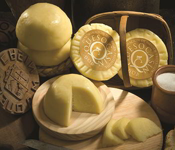 Casín cheese