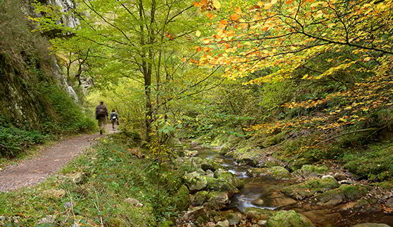 Alba Route (Sobrescobio)