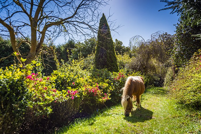 Jardines de la Fonte Baixa (L.luarca) ©Mampiris