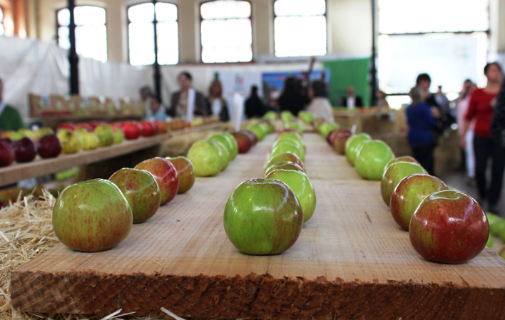 Apples (Granny Smith) - Mercado Del Pueblo