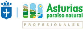 Logo Turismo Asturias Profesional