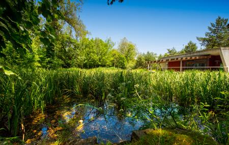 Carlos-Linnaeus-Lagune und Boreal-Pavillon