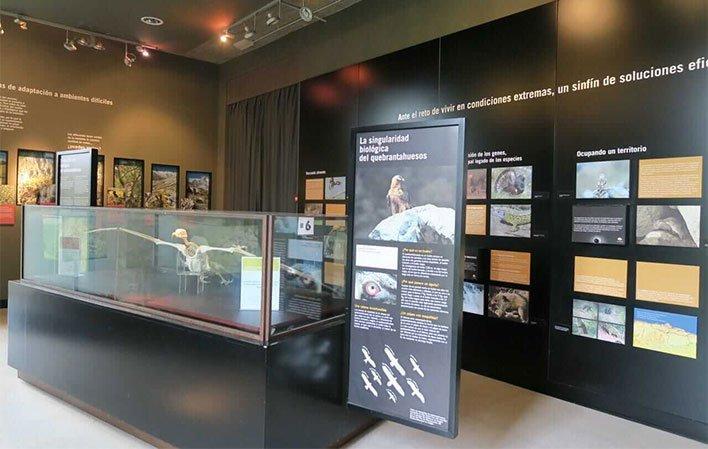 Centro de Visitantes Las Montañas del Quebrantahuesos