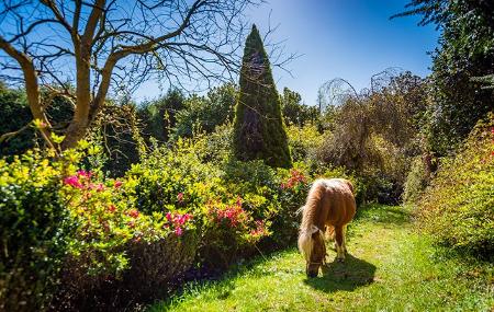 Imagen Bosque - Jardín de la Fonte Baxa