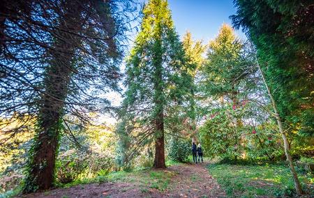 Bosque - Jardín de la Fonte Baxa