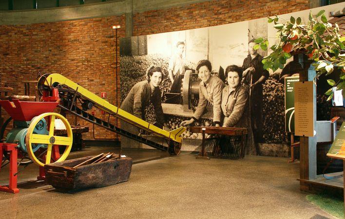 Museo de la Sidra de Asturias