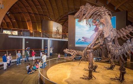 Jurassic Museum of Asturias