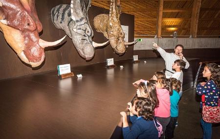 Jurassisches Museum von Asturien