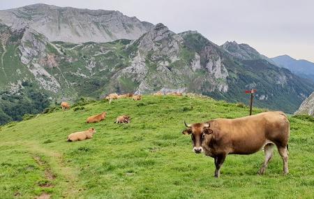 Itinerario dei Laghi, dall'Alto de la Farrapona (Laghi di Saliencia) alla Valle de Lago a Somiedo