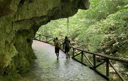 La route de l'aube