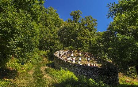 Cortín en el Bosque de Moal