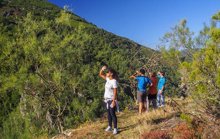 Vai a Immagine Percorso della foresta di Moal