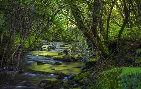 Il fiume Muniellos sulla strada per la foresta di Moal