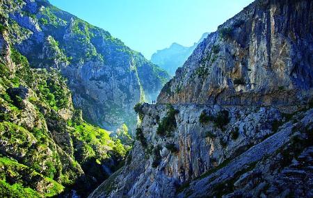 La route des soins