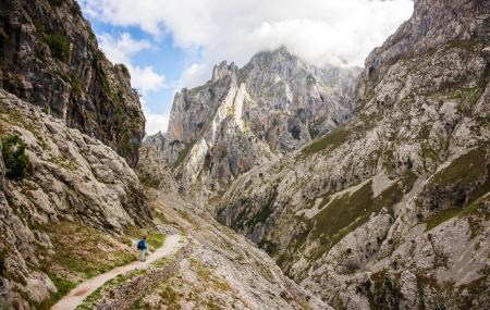 La route des soins