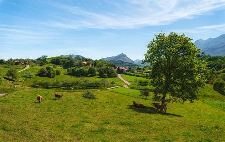 Imagen Der verzauberte Pfad