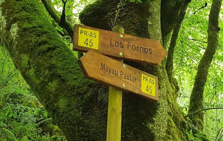 Rota Foces del Río Pendón