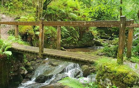 Rota Foces del Río Pendón