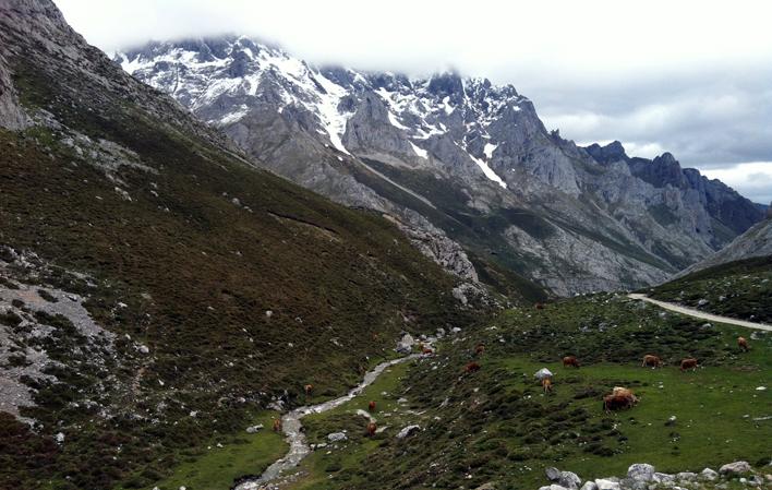 Monte Camba