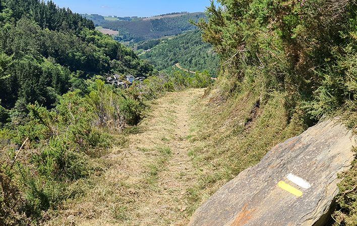 Ruta O Teixo - Os Teixóis foto 3