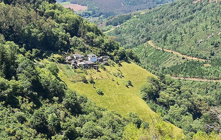 Ruta O Teixo - Os Teixóis foto 4