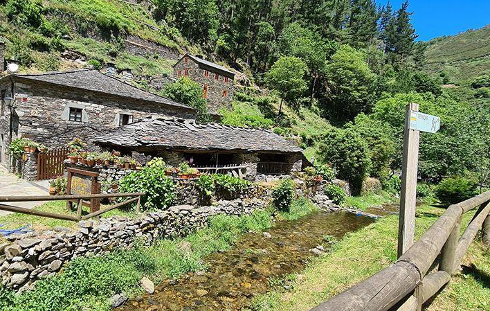 Ruta O Teixo - Os Teixóis