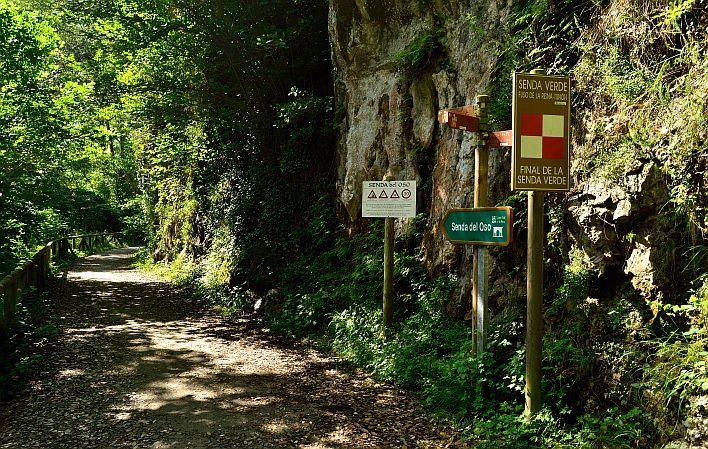 Gehe zu Bild Vía Verde Senda del Oso Grüner Weg