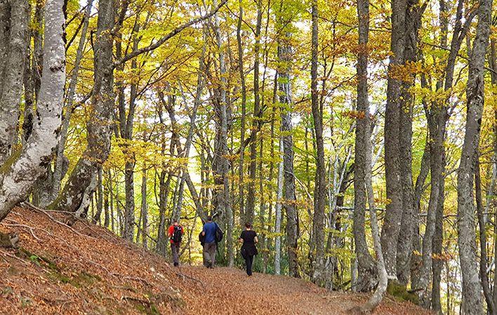 Gehe zu Bild Tabayón del Mongallu Route