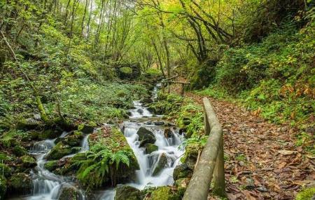 Sentiero della via dell'acqua a Taramundi