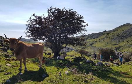 Percorso Alto de La Llama - Majada de Espineres