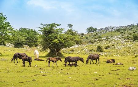 Percorso Alto de La Llama - Majada de Espineres