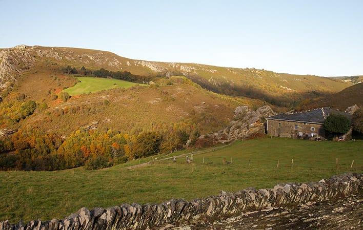 Ruta de los Bosques de Villanueva de Oscos