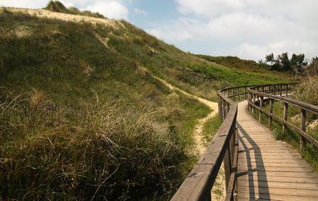 Imagen Beach of San Juan de Nieva - Beach of Arnao