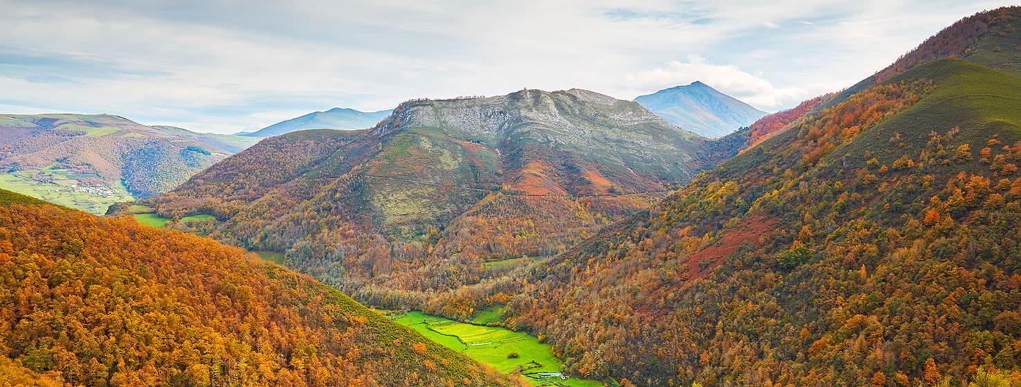 Paisaje otoñal del bosque de Muniellos con predominio de tonos cálidos. Valle rodeado de colinas cubiertas de árboles con tonos ocres y verdes.