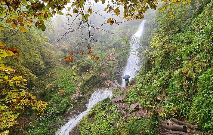 Hayedo de Montegrande y Cascada del Xiblu foto 3