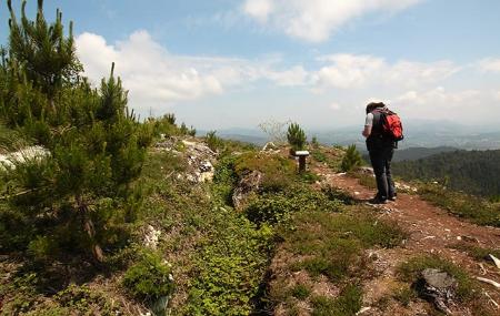 Route du côté de Nalón 3