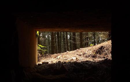 Route du côté de Nalón 4