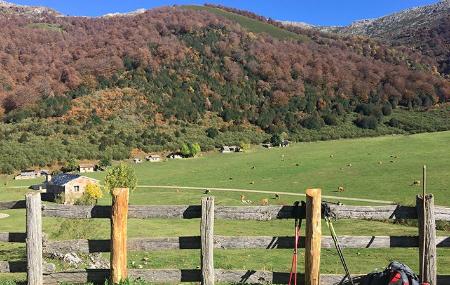 Vega de Brañagallones, Fall