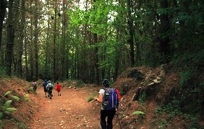 Vai a Immagine L'itinerario della Cascada de Méxica