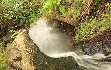 Cascada Méxica 2