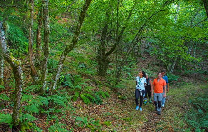 Ruta del Bosque de Moal foto 2