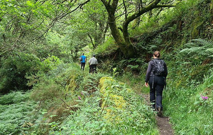 Ruta de A Seimeira foto 2