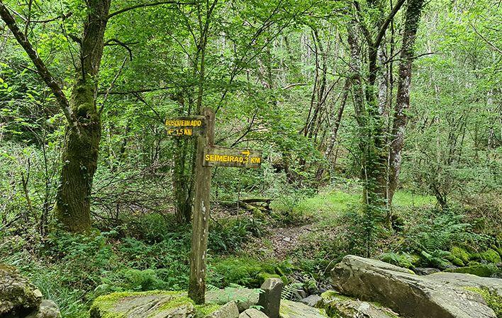 Ruta de A Seimeira